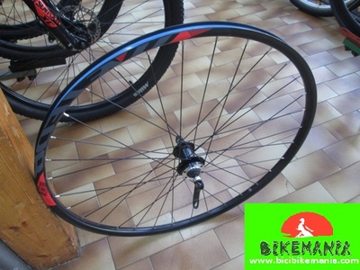 Rueda delandera 29 disco 6t